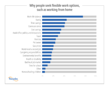 why people seek flexible work