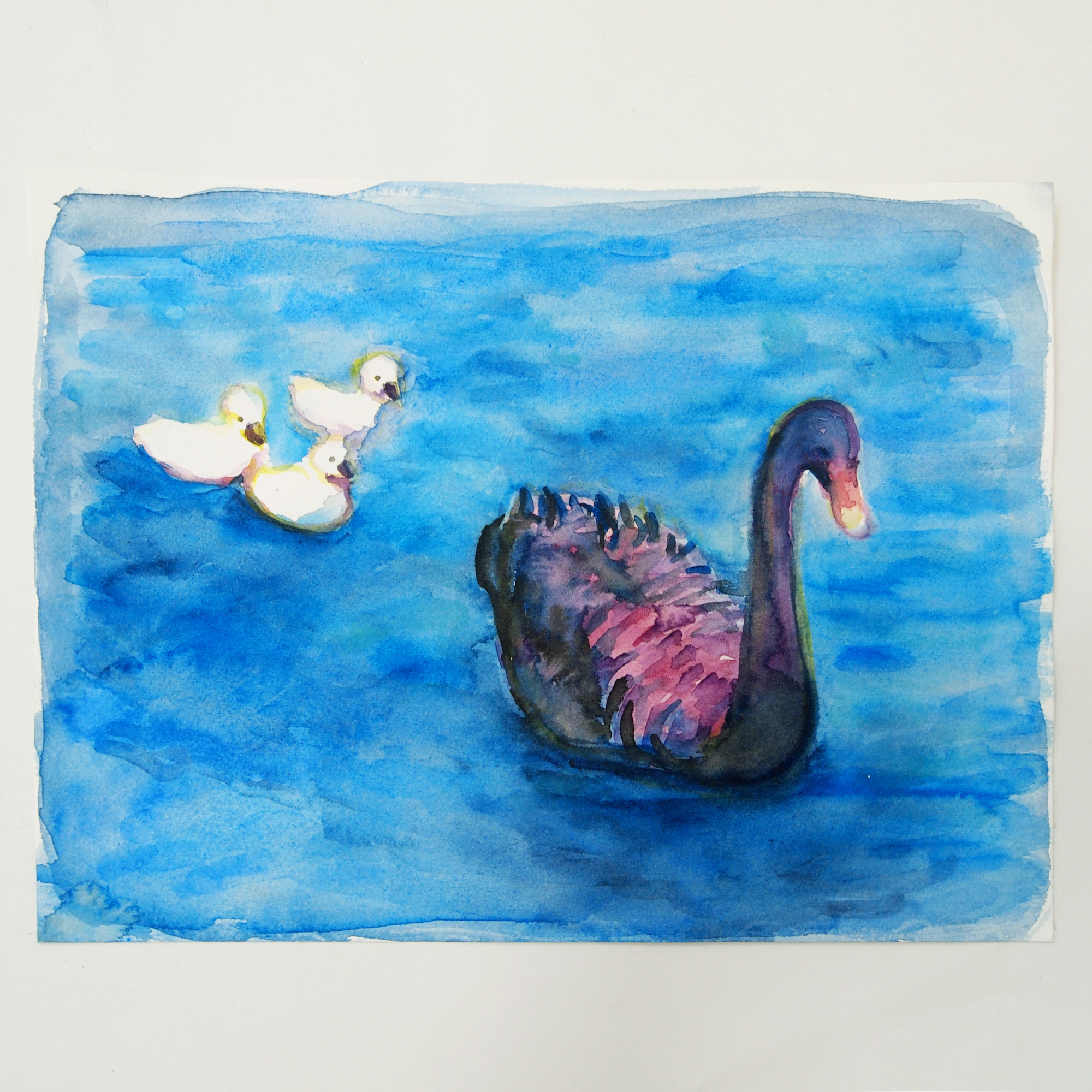 A Swan and Her Young