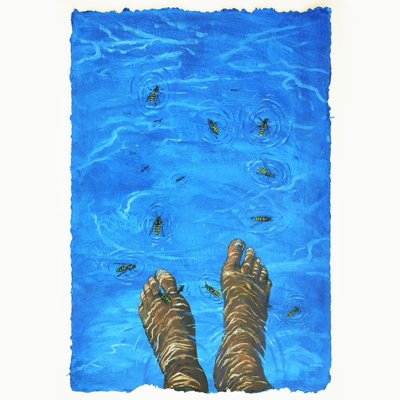 Late Afternoon Dip