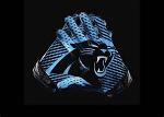 Carolina Panthers (P) Logo