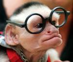 The Peanut Gallery Logo