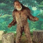 Harry and The William Hendersons Logo