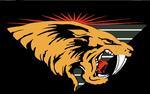 SaberCats Logo