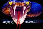 Black Mambas Logo