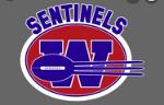Washington Sentinels Logo