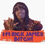 RickJames Logo