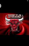Bulls Logo