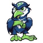 Seahawks 🏆 < Logo