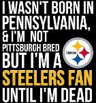 Lifetime STEELER Logo