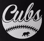 South Jersey Sunbirds Logo