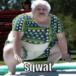 Mr. McGibblet's Revenge Logo