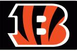 Cincinnati Bengals Logo