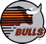 JACKSONVILLE BULLS Logo