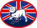 The American Bulldogs Logo
