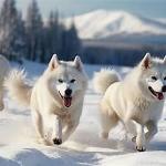 Junkyard Snow Dogs Logo