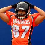 Dirty Birds Never Die-23 Logo