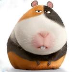 Guinea Pig Skins Logo