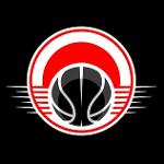 Seine Ouest BasketBall 🏀 Logo