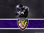 Baltimore Ravens Logo