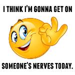 The IR Bunch ( 🏆🏆🏆) Logo