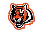 Bengal nation Logo