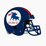 Stier Sports Team Logo