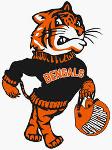 CINCINNATI BENGALS Logo