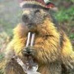 bobs bong smoking squirrels Logo