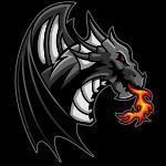 DC Dragons Logo