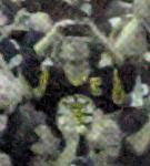 🤬🤬Me in 80+brady Logo