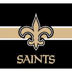 New Orleans Saints 2017 Champs Logo