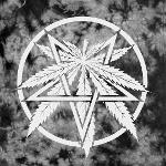 Lechuga del Diablo Logo