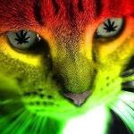 Iparanga's Weedcats Logo