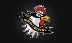 Ninja Chickens Logo