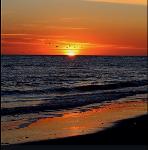 Hash Slinging Slashers Logo