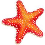 sassy starfish Logo