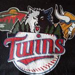 TwinWildWolfKings Logo