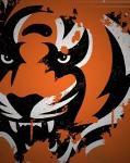 Cinccinati Bengals Logo