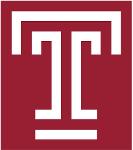 temple kicks Logo