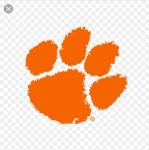 Myrtle Beach Tigers Logo