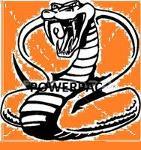 Powerpac Logo