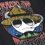 Breaking Records Logo