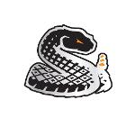 BROOKLYN BULLIES Logo