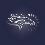 Bronco Riders Logo