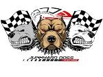 Junkyard Dog Logo
