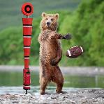 Kamchatka Bears Logo