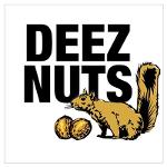 DEEZ NUTS Logo