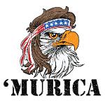 Shawks & Awe 🏈 Logo