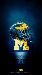 The Maize n Blue Logo