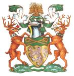 Ribble Valley Knights Logo